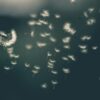 画像提供　Saad-Chaudhry-Unsplash
